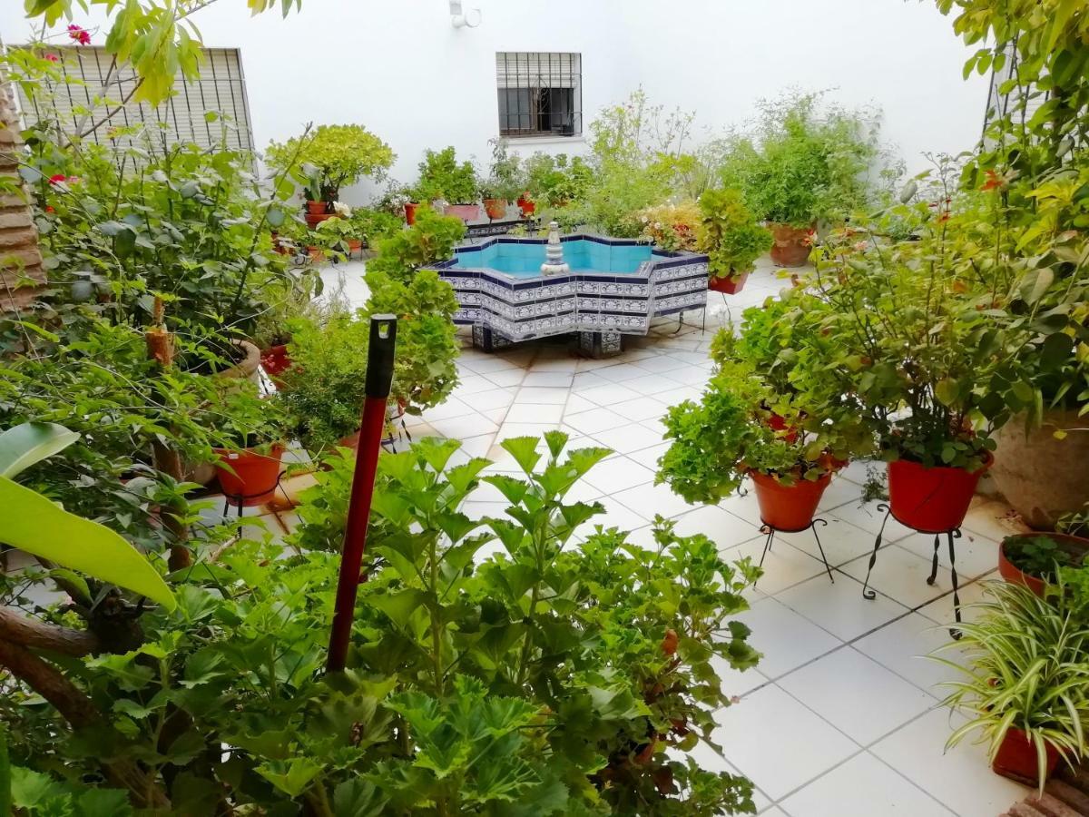 דירות קורדובה Patios De San Rafael מראה חיצוני תמונה